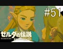【ゼルダの伝説ブレスオブザワイルド＃51】彼女は窘めるお姫様【はるの積みゲー崩し】