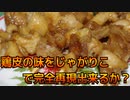 鶏皮の味をじゃがりこで完全再現出来るか？