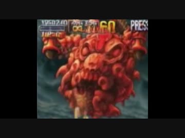 だめだね ソルデロカ Nicozon