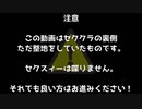 裏セククラ【作業】Minecraft