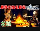 ＃25【ライザのアトリエ】　続編発売前に遊んでいくぅ