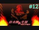 RE出るけど無印版を初見プレイ【真・女神転生ⅢNOCTURNE】　＃12
