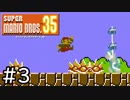 【実況】トゲゾーとハンマーブロスのタッグは無理 #3【スーパーマリオブラザーズ35】