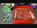 【実況】捕まえたポケモンの重さ分「1㎏＝1㎞」で移動しないといけない縛り part9(移動のみ)