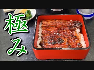 【実況】捕まえたポケモンの重さ分「1㎏＝1㎞」で移動しないといけない縛り part9(移動のみ)