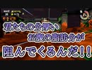 【サーモンラン】胸熱、神バイト【わのや】
