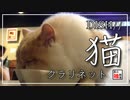 【DISH//】猫【吹いてみた】