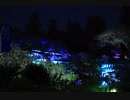 風に聞け201019　Hickory_Hollow　Dan Lebowitz