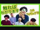 【検証】オタクなら触感だけでフィギュアの名前当てられる⁉︎