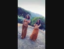 手ぶらで芸術的な腰振りダンス tiktok