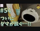 #54【428〜封鎖された渋谷で〜】社会人女性が実況プレイ【タマの本当の悩み】