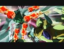 ジョルノスパイザー
