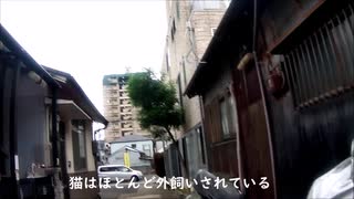 衝撃映像視聴注意！長田・番町路地裏徹底調査！２０２０年版日本にこんな路地裏がまだあったのか！目を疑う衝撃世界