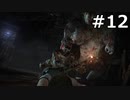 【協力実況】バイオハザード6　part12