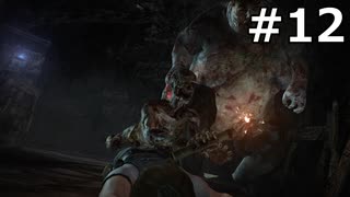 【協力実況】バイオハザード6　part12