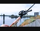 【釣り・VLOG】荒川の温排水でハクレンが釣れる＠彩湖下流部でガー狙い、おまけ動画は新河岸川でブラックバス釣り＆見次公園で鯉観察【禍福は糾える縄の如し】