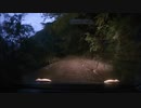 信濃俣林道　撤退ドライブ 　part3