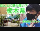 【47位】魅力度ランキング最下位！？栃木県の最強観光スポットを見つけました！【日光江戸村 EDO WONDERLAND】