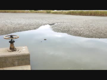 ウキを眺めてのんびり淡水魚釣り14【ブルーギル】