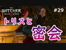 【実況】ダークファンタスティックウィッチャー Part29