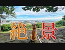 【ほのぼの動画】柴犬ももっぷがドラマロケ地の高台に行ってきたなの
