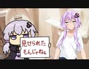 【閲覧注意】ゆかりのブラウンDAY