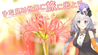 まだ見ぬ世界に旅に出よう！ 番外編～松戸市・祖光院　曼殊沙華～