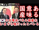文タンの立場では国産...　【江戸川 media lab HUB】お笑い･面白い･楽しい･真面目な海外時事知的エンタメ