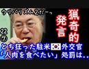 (視聴注意)　「うちの祖母は日本人」...ふぁっ？　【江戸川 media lab HUB】お笑い･面白い･楽しい･真面目な海外時事知的エンタメ