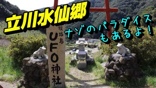 【ハイエースキャンピングカーで行く犬連れ旅】立川水仙郷（ナゾのパラダイスもあるよ！）