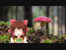 不思議な神社.kinoko