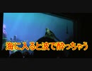 海に入ると波で酔っちゃう【タートルトーク】東京ディズニーシー