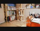 うちの猫のご飯待ち