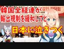 韓国の経済連が日本に泣きつく！「両国首脳が会うだけで改善の糸口が見込める」【世界の〇〇にゅーす】