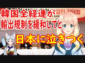 韓国の経済連が日本に泣きつく！「両国首脳が会うだけで改善の糸口が見込める」【世界の〇〇にゅーす】