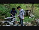 鯉の魚のいる池を作り、草の鯉に調味料を振りかけます給錦鯉修個魚池，給草魚撒點調料