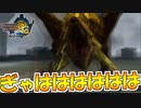 【実況】VS金レイアで心臓大爆笑【MH3G.HDver】