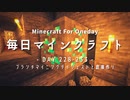 毎日マインクラフト -Day228-233- ブランチマイニングダイジェストと倉庫作り