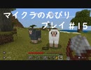 【マイクラ】のんびりプレイ #15