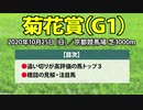 【菊花賞2020予想】狙うべき鉄板軸馬と相手はこの馬で決まりだ！