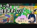【スーパーマリオ3Dコレクション】第十六幕　え！？ニセマリオが直ぐに復活したって本当に！？その後はマーレのいりえへ2