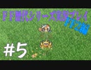 ファイナルファンタジー歴代シリーズを実況プレイ‐FF2編‐【5】