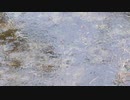 秋の長雨20201023【作業用BGM】