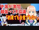韓国さんは中国との約束も守る気は無い！【世界の〇〇にゅーす】