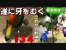 【ピクミン2】ぬるいとかぬかした奴は誰だ【実況プレイ】３４日目