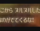 【SwS】スカウォをいつものノリで厄っていく【字幕プレイ動画その６３】