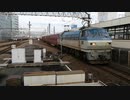 EF66 118号機静岡駅下り本線通過