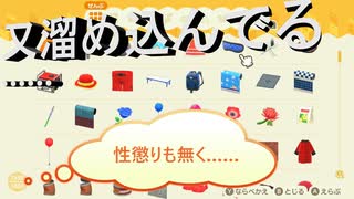 【あつまれ どうぶつの森】　第九十一幕　家の収納がピンチ！！こうなったら島を飾って……