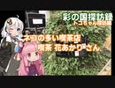 【彩の国探訪録：トコちゃん探訪編】Part12.見沼通船堀のカフェ と猫【琴葉 茜車載】
