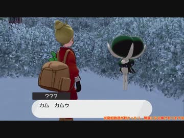 幻のカレー作りゲーム『ポケットモンスターシールド』垂れ流し その7【冠の雪原編】